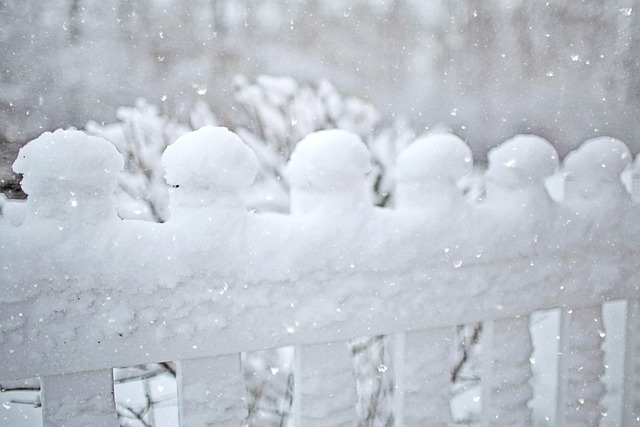 fences-640x480-87430731.jpeg