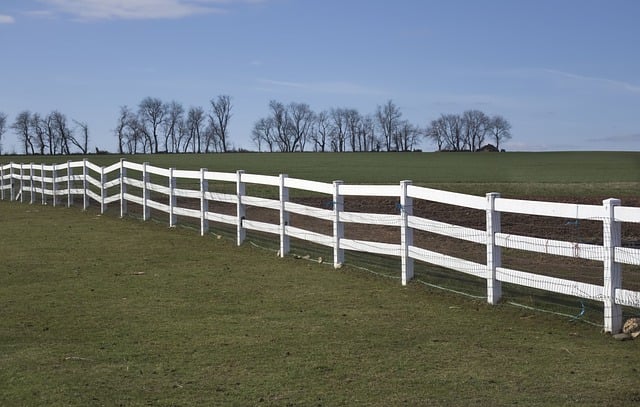fences-640x480-89720912.jpeg