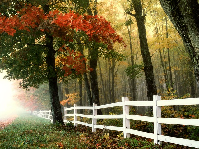 fences-640x480-93895625.jpeg