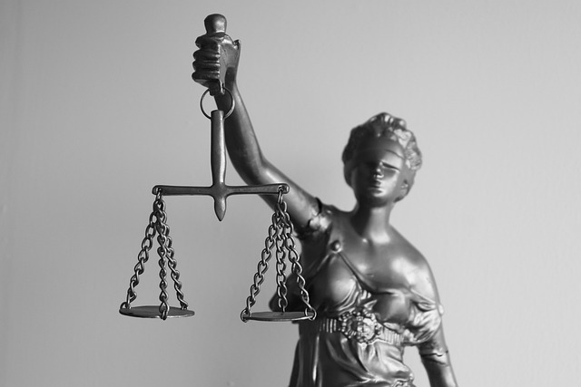 law, legal