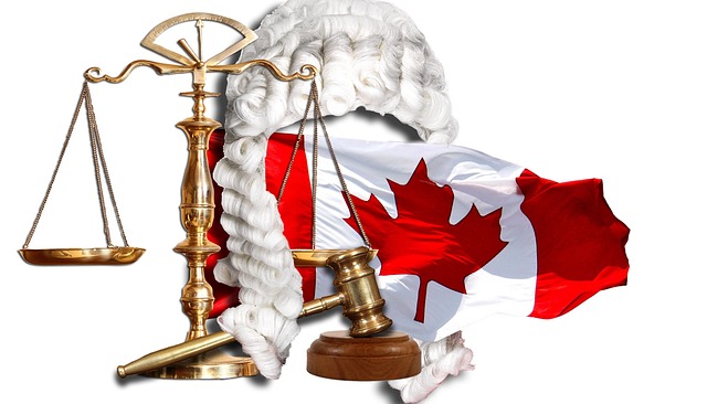 law, legal