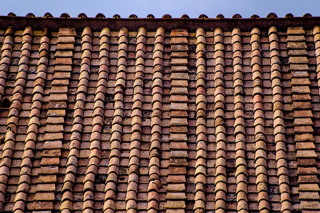 roofing, roofer