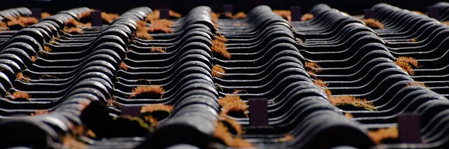 roofing-roofer-640x480-46873456.jpeg