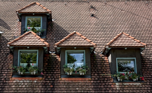 Dallas Roofers: Expertise in Diverse Roofing Materials and Customized Solutions