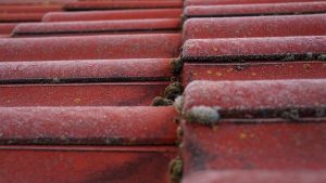 roofing-roofers-640x480-95230616.jpeg
