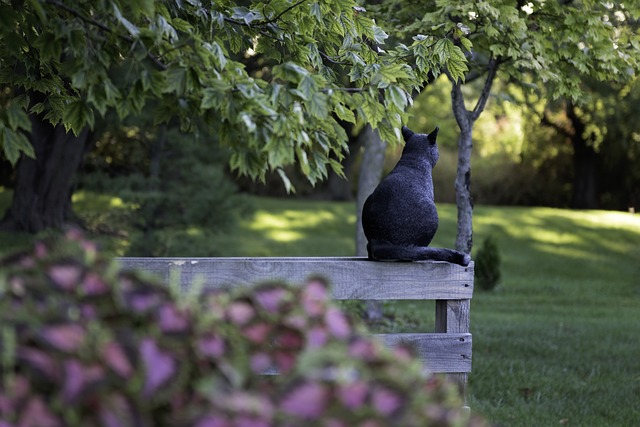 fences-640x480-11780967.jpeg