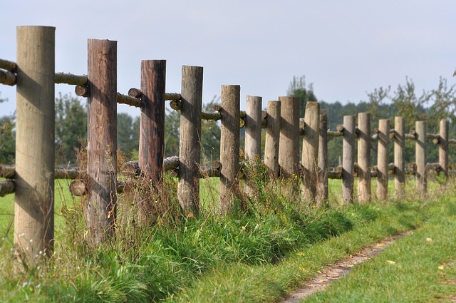 fences