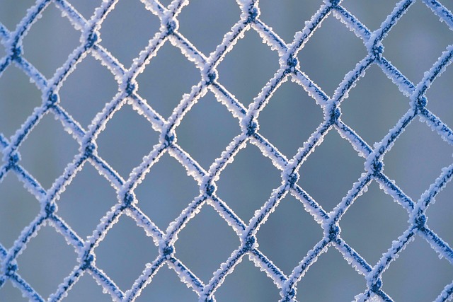 fences