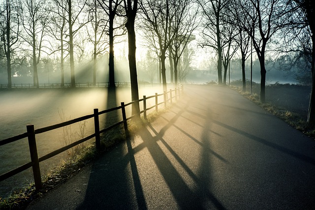 fences-640x480-23340935.jpeg