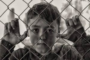 fences-640x480-24253661.jpeg