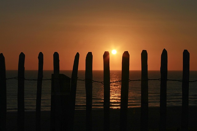 fences