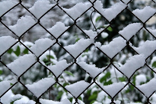 fences