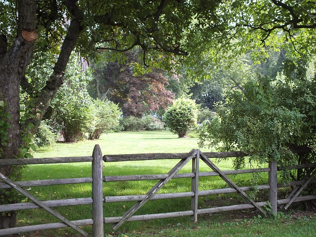 fences-640x480-50713077.jpeg