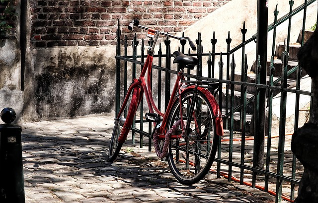 fences-640x480-52987258.jpeg