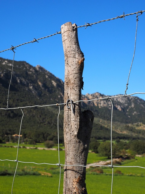 fences