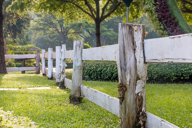 fences