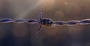 fences-640x480-69422083.jpeg