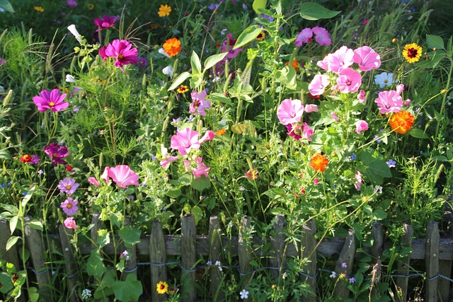 fences