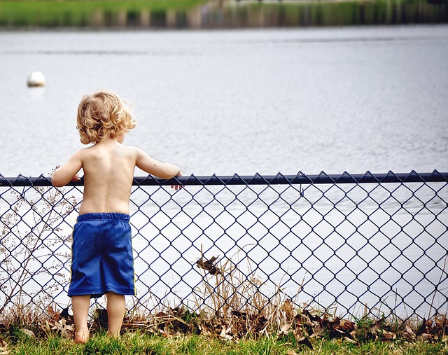 fences