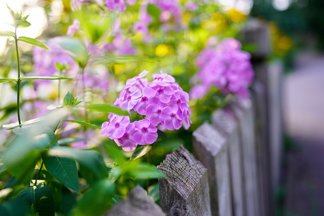 fences