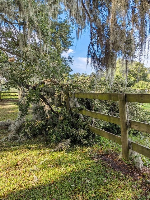 fences-640x480-87005730.jpeg