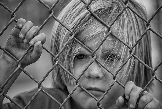 fences