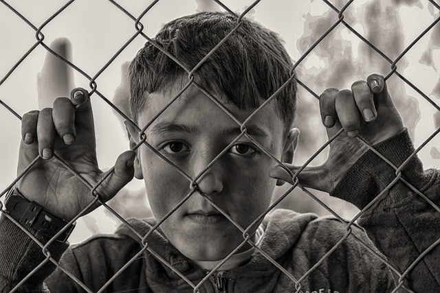 fences