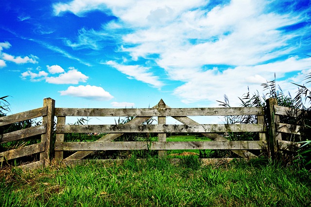 fences-640x480-96032090.jpeg