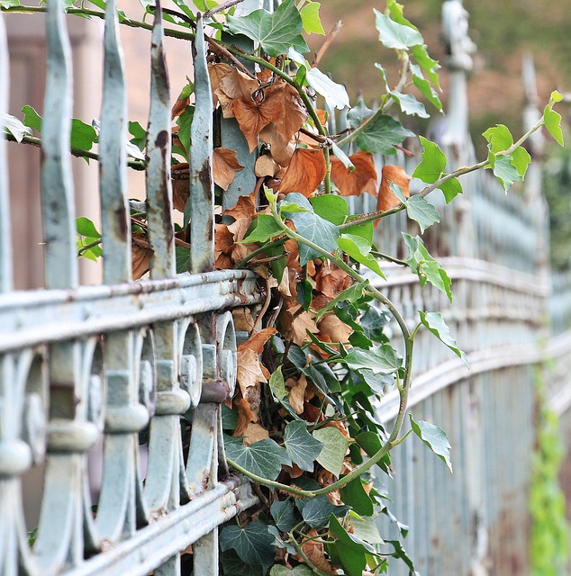 fences