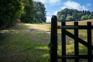 fences-640x480-97414505.jpeg