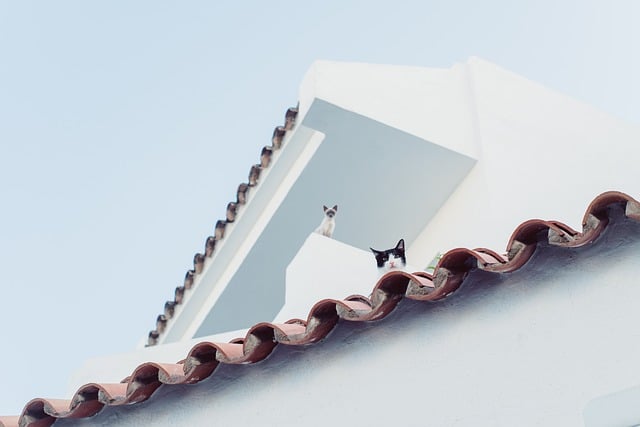 roofing, roofer