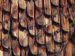 roofing-roofer-640x480-2284014.jpeg