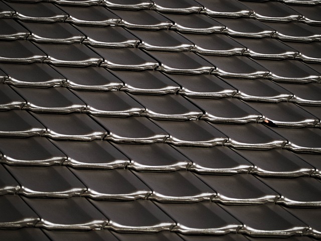 roofing-roofer-640x480-2724196.jpeg