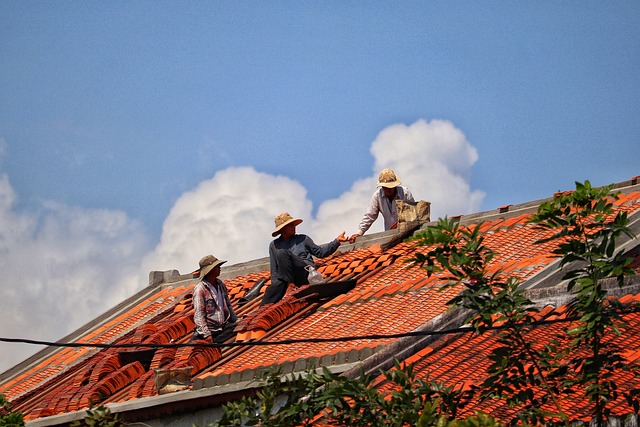 roofing, roofer