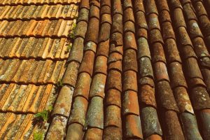 roofing-roofer-640x480-73524479.jpeg