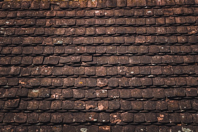roofing, roofer