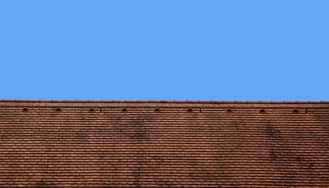 roofing, roofer