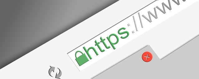 websites