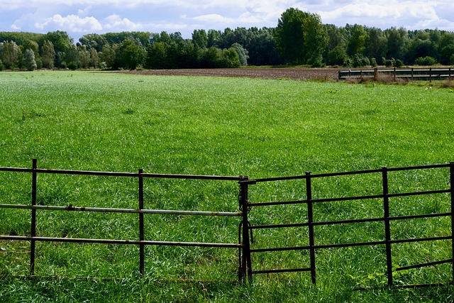 fences-640x480-23296173.jpeg