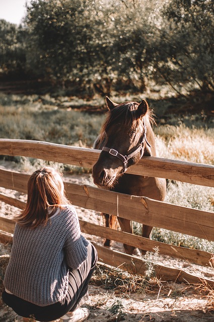 fences-640x480-37982491.jpeg