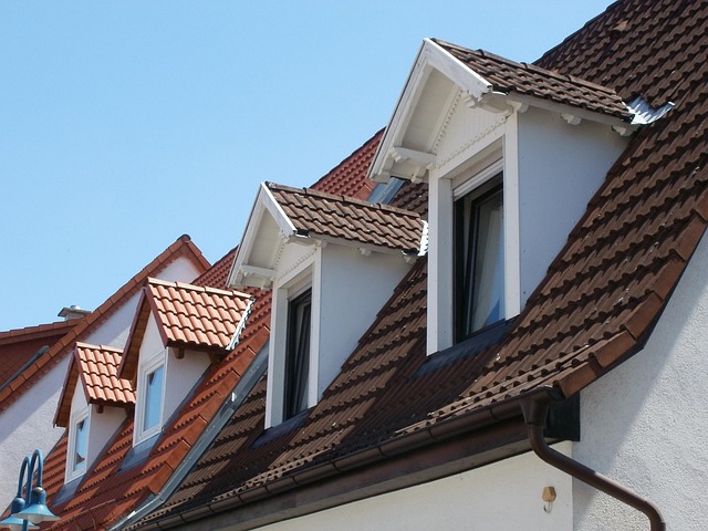 roofing, roofer