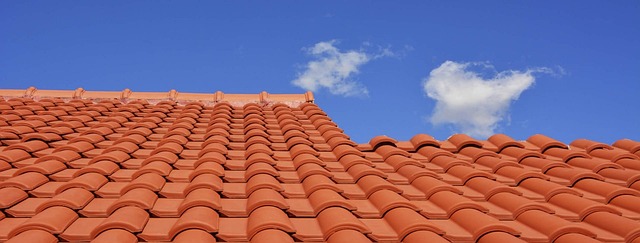 roofing, roofer