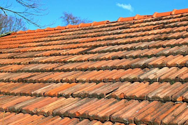 roofing-roofer-640x480-62481334.jpeg