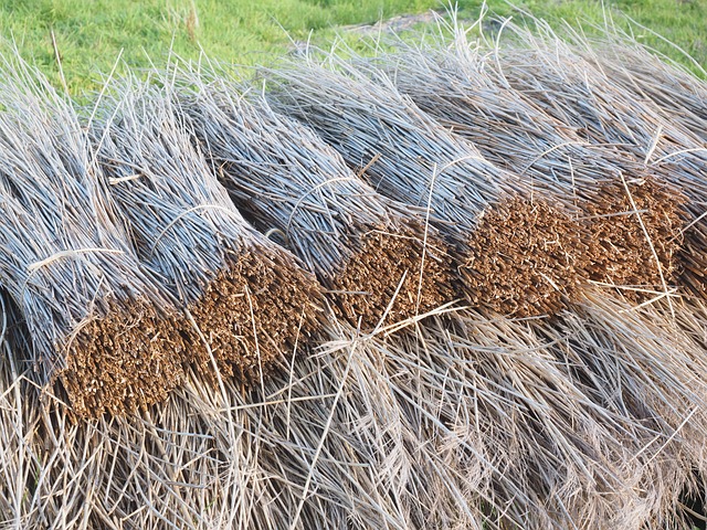 roofing-roofer-640x480-84518579.jpeg