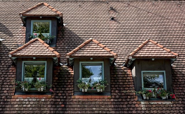 roofing-roofer-640x480-9934163.jpeg