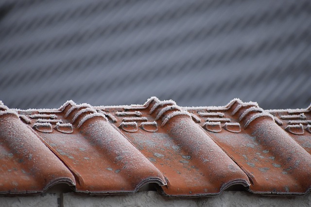 roofing, roofers