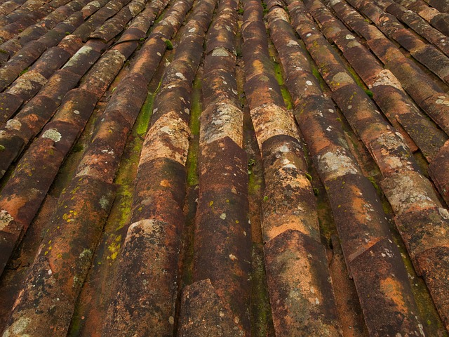 roofing-roofers-640x480-72837589.jpeg
