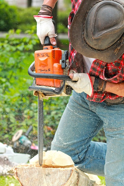 construction, handyman