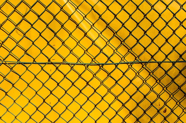 fence
