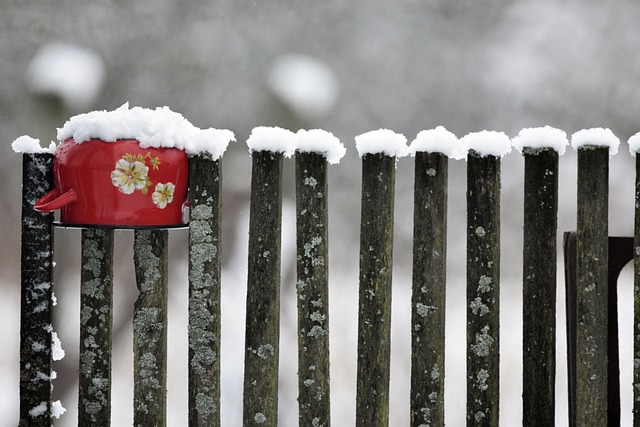 fence